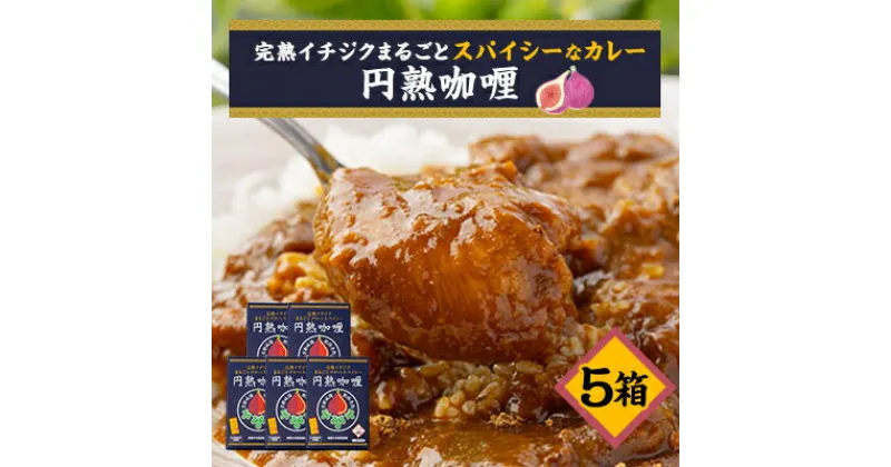 【ふるさと納税】京都府城陽産　イチジクが丸ごと入った　スパイシーなカレー　5箱×1セット【1136496】