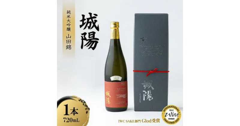 【ふるさと納税】日本酒「城陽」純米大吟醸 山田錦　720ml【1456149】