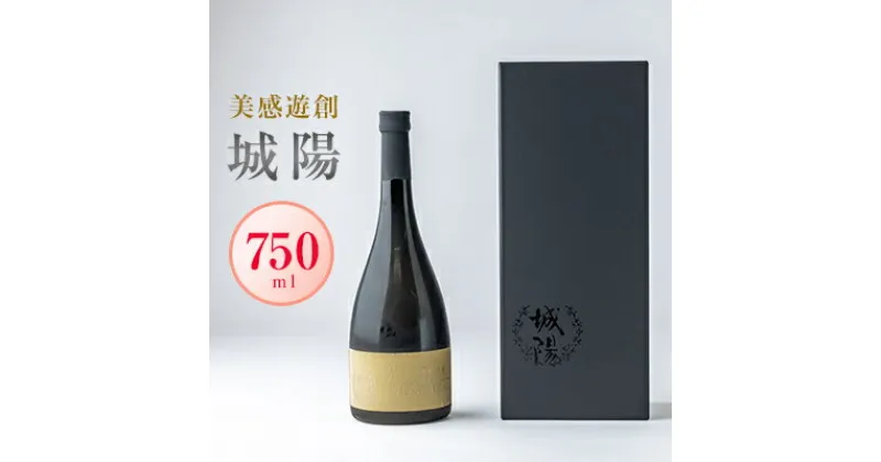 【ふるさと納税】日本酒「城陽」美感遊創　750ml【1456164】