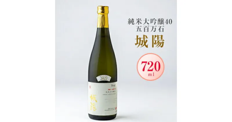 【ふるさと納税】日本酒「城陽」純米大吟醸40五百万石　720ml【1456154】