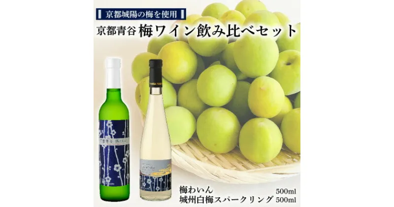 【ふるさと納税】京都青谷梅わいん飲み比べセット【配送不可地域：離島】【1538836】