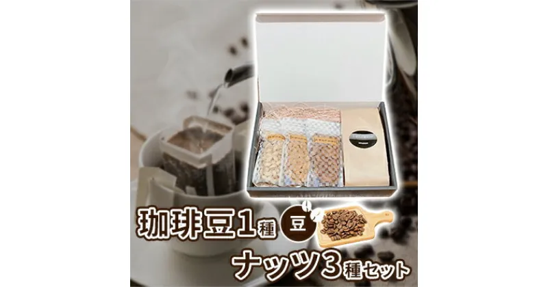 【ふるさと納税】珈琲豆1種とナッツ3種の組み合わせ【豆】　 加工食品 飲み物 焙煎したて 新鮮なコーヒー スペシャルブレンド ナッツセット アーモンド ピスタチオ カシューナッツ