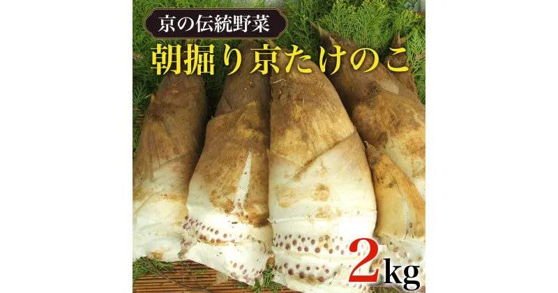 【ふるさと納税】 【2025年3月中旬から順次発送予定】【京の伝統野菜】朝掘り京たけのこ 2kg ふるさと納税 京都 竹の子 筍 たけのこ タケノコ 朝掘り 料亭 逸品 やわらかい 春 味覚 京都府 長岡京市 NGL001