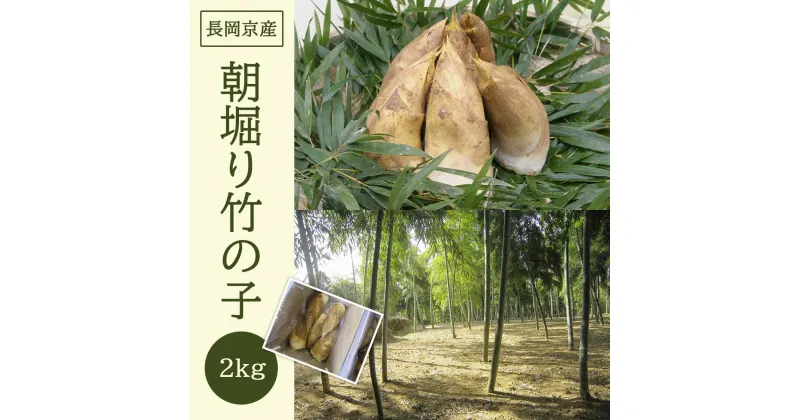 【ふるさと納税】【2025年3月末発送開始予定】 ＜長岡京産＞朝堀り竹の子 2kg ふるさと納税 京都 竹の子 筍 たけのこ タケノコ 朝掘り 春 味覚 京都府 長岡京市 NGAM001