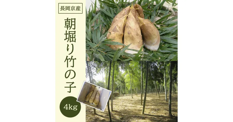 【ふるさと納税】【2025年3月末発送開始予定】 ＜長岡京産＞朝堀り竹の子 4kg ふるさと納税 京都 竹の子 筍 たけのこ タケノコ 朝掘り 春 味覚 京都府 長岡京市 NGAM002