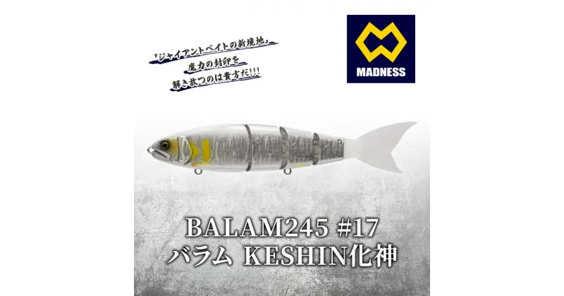 【ふるさと納税】BALAM245 #17 バラム KESHIN化神〈マドネス、ビックベイト、スイムベイト、ジャイアントベイト、釣り、バス釣り、ルアー、釣り具、スポーツ〉　雑貨・日用品