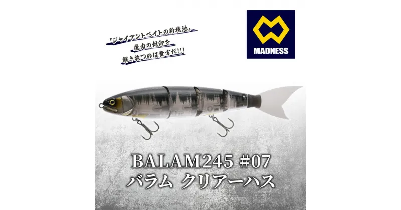 【ふるさと納税】BALAM245 #07 バラム クリアーハス〈マドネス、ビックベイト、スイムベイト、ジャイアントベイト、釣り、バス釣り、ルアー、釣り具、スポーツ〉　雑貨・日用品