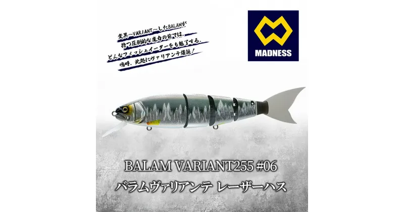 【ふるさと納税】BALAM VARIANT255 #06 バラムヴァリアンテ レーザーハス〈マドネス、ビックベイト、スイムベイト、ジャイアントベイト、釣り、バス釣り、ルアー、釣り具、スポーツ〉　京田辺市