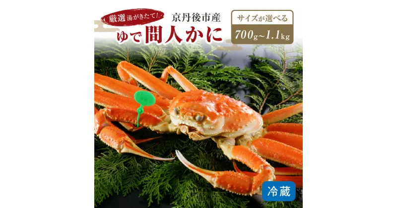 【ふるさと納税】厳選湯がきたて！京丹後市産ゆで間人かに /北畿水産 選べるサイズ 中大サイズ～ 700g～ 選べる配送時期 11月発送～ カニ 蟹 松葉かに 間人ガニ ふるさと納税 かに