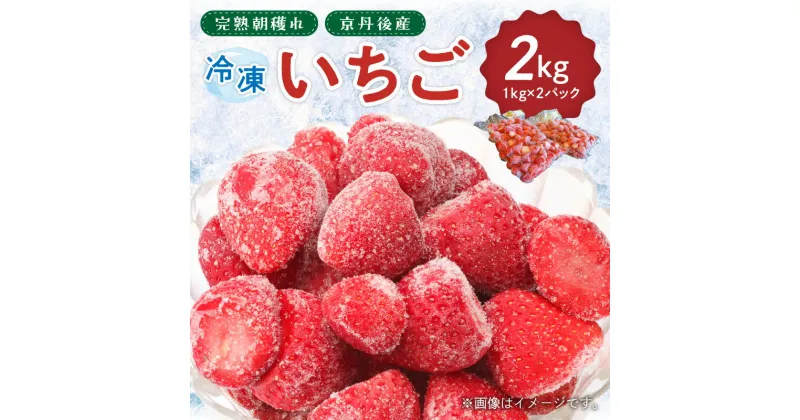 【ふるさと納税】完熟朝穫れ 冷凍いちご 2kg 果物 フルーツ 苺 イチゴ いちご 2パック 新鮮 美味しい ギフト プレゼント 贈り物 冷凍 便利 ふるさと納税 フルーツ ふるさと納税 いちご