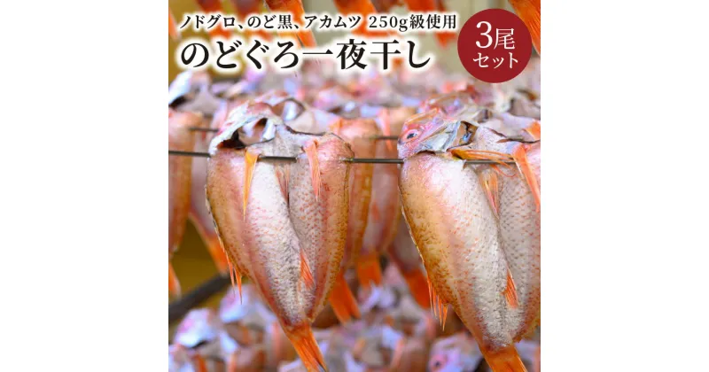 【ふるさと納税】【海鮮の匠　魚政】のどぐろ一夜干し（ノドグロ、のど黒、アカムツ）250g級使用 干し上がり後 175g以上 3尾セット 海鮮 魚介 天然塩 冷凍 干物 一夜干し 脂のり 焼き魚 高級魚 旬 旨み 凝縮 塩焼き 煮付け 贅沢 濃厚 上質 脂 日本海 個包装 魚政 送料無料