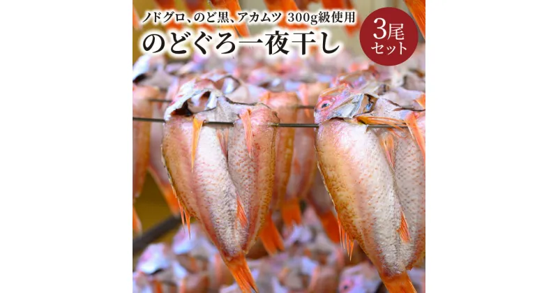 【ふるさと納税】【海鮮の匠　魚政】のどぐろ一夜干し（ノドグロ、のど黒、アカムツ）300g級使用 干し上がり後 210g以上 3尾セット 海鮮 魚介 天然塩 冷凍 干物 一夜干し 脂のり 焼き魚 高級魚 旬 旨み 凝縮 塩焼き 煮付け 贅沢 濃厚 上質 脂 日本海 個包装 魚政 送料無料