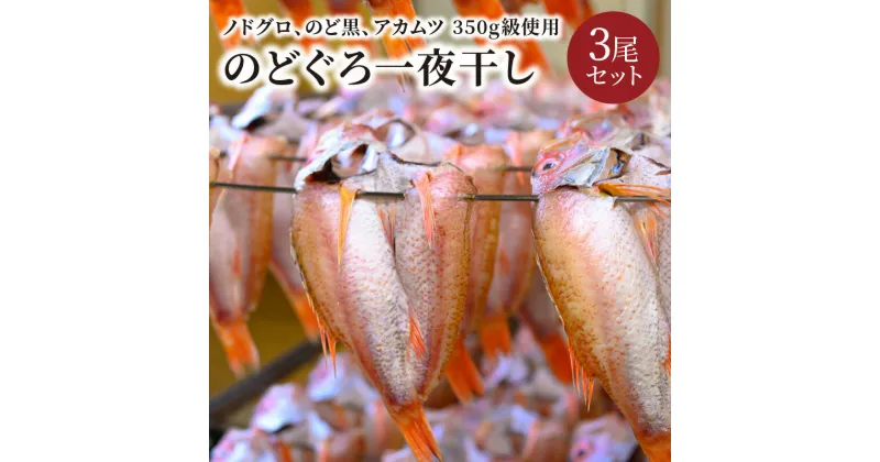 【ふるさと納税】【海鮮の匠　魚政】のどぐろ一夜干し（ノドグロ、のど黒、アカムツ）350g級使用 3尾セット 海鮮 魚介 魚介類 日本海産 天然塩 冷凍 干物 一夜干し 脂のり 焼き魚 高級魚 干もの 旬 旨み 凝縮 塩焼き 煮付け 贅沢 濃厚 上質 脂 日本海 個包装 魚政 送料無料