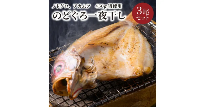 【ふるさと納税】【海鮮の匠　魚政】のどぐろ一夜干し（ノドグロ、のど黒、アカムツ）450g級使用 干し上がり後 315g以上 3尾セット 海鮮 魚介 一夜干し 450g 3尾 セット 冷凍 天然塩 干物 脂のり 焼き魚 高級魚 干もの 凝縮 塩焼き 煮付け 日本海 京都 個包装 魚政 送料無料