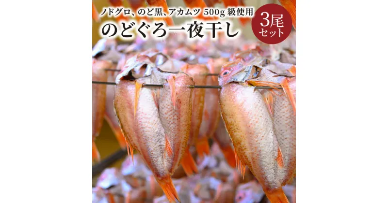 【ふるさと納税】【海鮮の匠　魚政】のどぐろ一夜干し（ノドグロ、のど黒、アカムツ）500g級使用 3尾セット 海鮮 魚介 魚介類 一夜干し 500g 3尾 セット やわらかい 冷凍 天然塩 干物 脂のり 焼き魚 高級魚 干もの 凝縮 塩焼き 煮付け 日本海 京都 個包装 魚政 送料無料