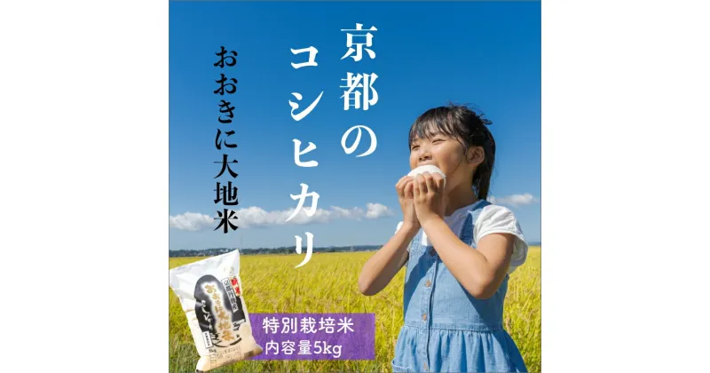 【ふるさと納税】特別栽培米コシヒカリ「おおきに大地米」5kg《令和6年産》お米 米 こめ 精米 コシヒカリ こしひかり 5 人気 美味しい 安全