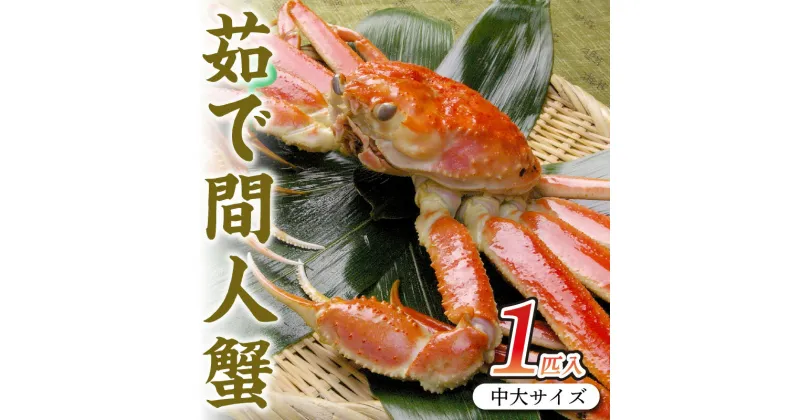 【ふるさと納税】京丹後市産 茹で間人蟹【厳選】中大サイズtaizakani800 カニ かに 蟹 松葉ガニ 間人蟹 茹で間人蟹 天然 1匹 厳選 新鮮 高級 蟹味噌 かにみそ 冬の味覚 冷蔵 間人がに 間人かに たいざがに