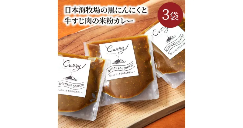 【ふるさと納税】日本牧場の黒にんにくと牛すじ肉の米粉カレー（3袋） カレー カレー粉 カレーパウダー 京たんくろ和牛 米粉 グルテンフリー 黒にんにく コク あっさり 180g 3袋 冷凍