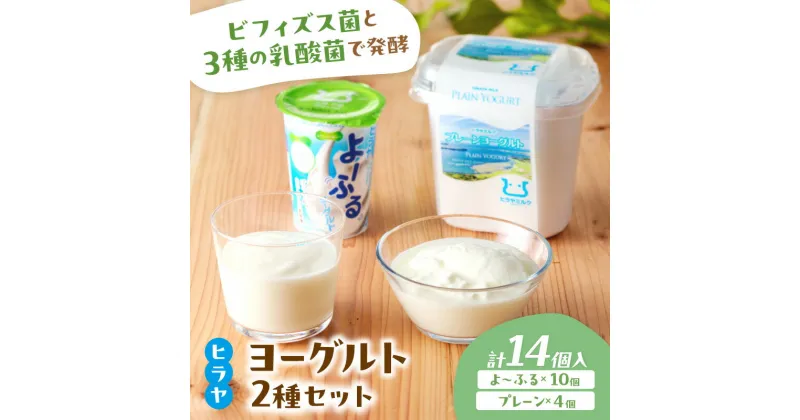 【ふるさと納税】プレーンヨーグルト と よーふる の セット 乳酸菌飲料 乳酸菌 免疫力 免疫力アップ ビフィズス菌 乳酸菌 家族の健康 健康 ドリンク お中元 お歳暮 お返し ふるさと納税 のむヨーグルト ふるさと納税 飲むヨーグルト ふるさと納税 乳製品 送料無料