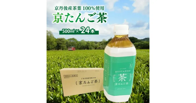 【ふるさと納税】京たんご茶（500ml×24本） お茶 京たんご茶 茶 500ml 24本 京都産 茶葉 ふるさと 納税 お茶 ペットボトル 京都 お茶 おちゃ 緑茶 送料無料