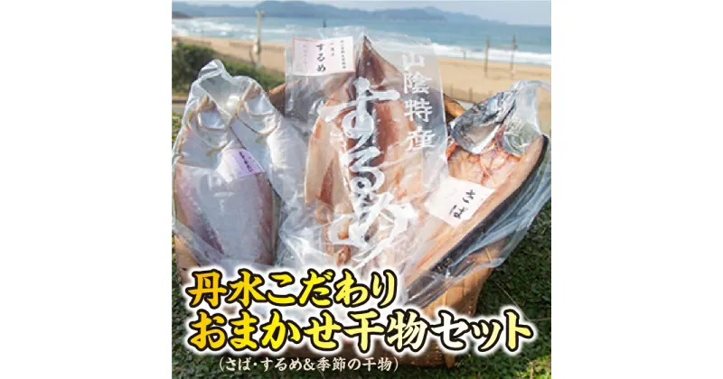 【ふるさと納税】丹水こだわりおまかせ干物セット（さばと季節の干物2～3種） 干物 干物セット さば サバ するめ 酒好き お酒好き プレゼント お返し 贈り物 友人 酒のつまみ おつまみセット 小分け 個包装 詰め合わせ 人気 ひもの お任せ こだわり