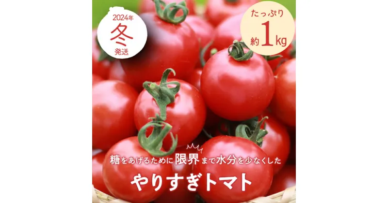 【ふるさと納税】高評価★5.0 高レビュー★ 【先行予約】やりすぎトマト（4パック計約1kg）（冬季）（2024年12月上旬以降発送） 国産 ミニトマト ミディトマト プチトマト お野菜 野菜 とまと 高糖度 甘い 濃縮 濃厚 トマトスープ 健康 リコピン おすすめ 人気