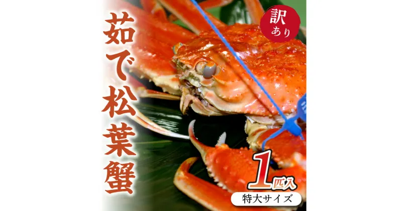 【ふるさと納税】日本海産　ブランド蟹　 茹で松葉蟹 【訳あり】特大サイズ　matubakani1000 ズワイガニ 松葉ガニ 1kg 1000g ボイル 年末 かに カニ 蟹 ブランド蟹 国産 ボイル 高級 訳あり まるごと 大きなカニ 正月 年末 ごちそう 甲殻類 贅沢 ご褒美 京都 丹後 送料無料