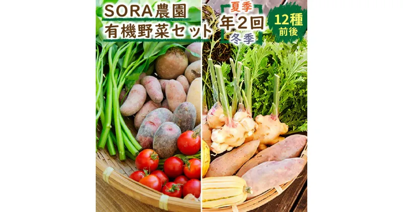 【ふるさと納税】高評価★5.0 高レビュー★【有機野菜／定期便2回】京都・京丹後 SORA農園 有機野菜 セット 年2回 （夏季・冬季） お届け　12種類前後 有機野菜 オーガニック野菜 詰め合わせ 栽培期間中農薬不使用 ふるさと納税 オーガニック ふるさと納税 有機野菜