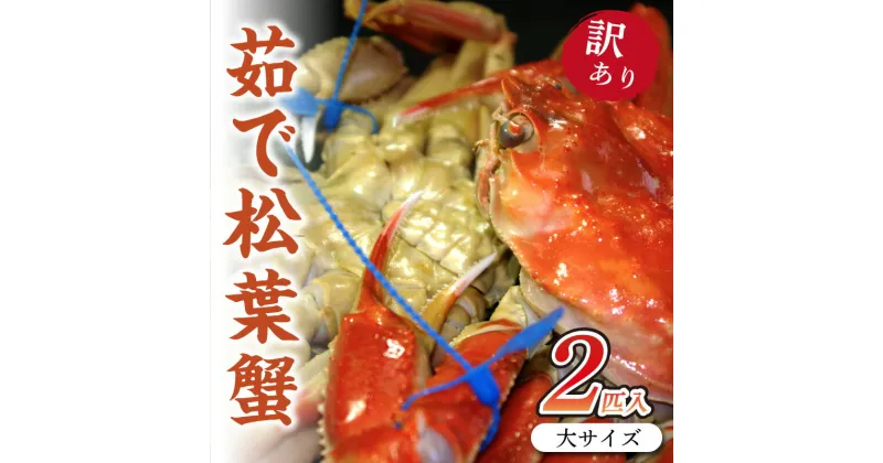 【ふるさと納税】日本海産　ブランド蟹　茹で松葉蟹【訳あり】大サイズmatubakani900　2匹入り ズワイガニ 松葉ガニ 900g × 2 国産 カニ ガニ かに 松葉ガニ ボイル 高級 訳あり まるごと 送料無料