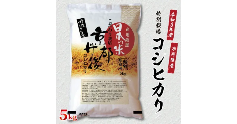 【ふるさと納税】令和6年産　京都丹後産　特別栽培米コシヒカリ5kg（5kg×1袋） 食品 お米 米 白米 コシヒカリ ブランド米 5キロ 5kg ご飯 京都丹後産