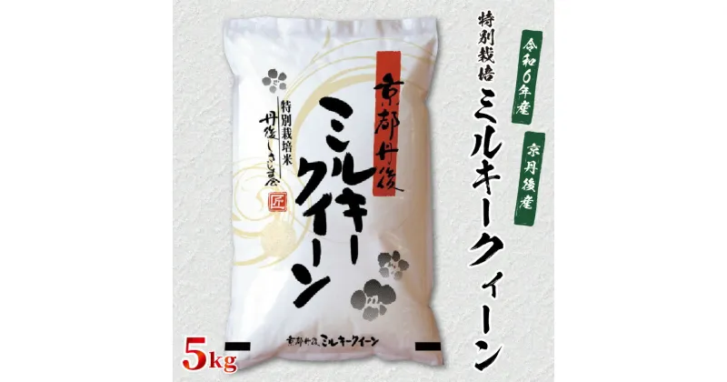 【ふるさと納税】令和6年産　京都丹後産　特別栽培米ミルキークイーン5kg（5kg×1袋） 食品 お米 米 白米 ミルキークイーン ブランド米 5キロ 5kg ご飯 京都丹後産 1等米 一等米