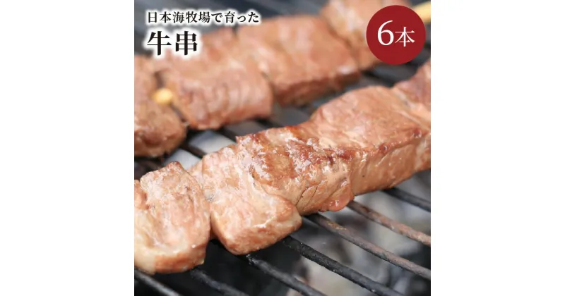 【ふるさと納税】日本海牧場の牛串（ 80g × 6本 ） 牛 焼き鳥 ヤキトリ 焼鳥 yakitori バーベキュー ホームパーティー 肉 串 BBQ ばーべきゅー キャンプ きゃんぷ アウトドア おかず 惣菜 お取り寄せ グルメ 送料無料