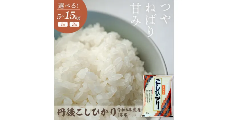 【ふるさと納税】単品は注文後1週間以内に発送／令和6年産 1等米 丹後こしひかり 選べる 回数 内容量 5kg 10kg 1回 3回 定期便 久美浜 国産 産地直送 お米 白米 丹後コシヒカリ おにぎり お弁当 京都産 京丹後 こしひかり 精米 ふるさと納税 コシヒカリ 米