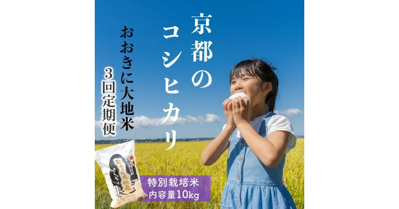 【ふるさと納税】《定期便3か月》特別栽培米コシヒカリ「おおきに大地米」10kg 令和6年産 米 特別栽培米 精米 白米 減農薬 安心安全 定期便