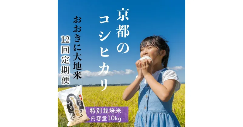 【ふるさと納税】《定期便12か月》特別栽培米コシヒカリ「おおきに大地米」10kg 令和6年産 お米 米 コシヒカリ 送料無料 京都 京丹後 丹後