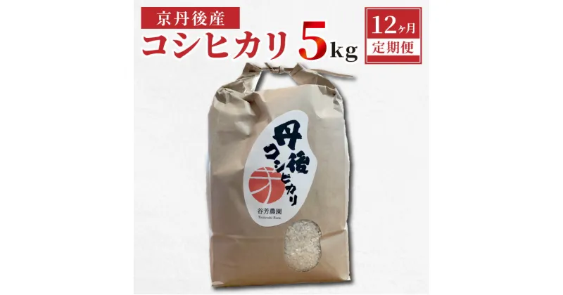 【ふるさと納税】京丹後産 コシヒカリ≪令和6年度産≫5kg【12ヶ月定期便】新米 お米 米 コシヒカリ 定期便 京都 京丹後 送料無料