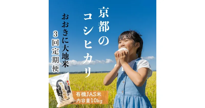 【ふるさと納税】《3ヶ月定期便》有機JAS認証米「おおきに大地米」10kg お米 米 定期便 京都 京丹後 送料無料 コシヒカリ