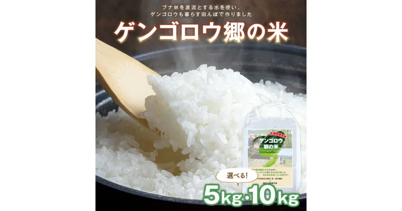 【ふるさと納税】2024年産　京丹後産生物多様性米コシヒカリ「ゲンゴロウ郷の米」 箱入 5kg 10kg 選べる 内容量 お米 ご飯 ごはん 令和6年 京都 京丹後 丹後 ふるさと納税 米 こしひかり 生産者応援 農家応援 送料無料