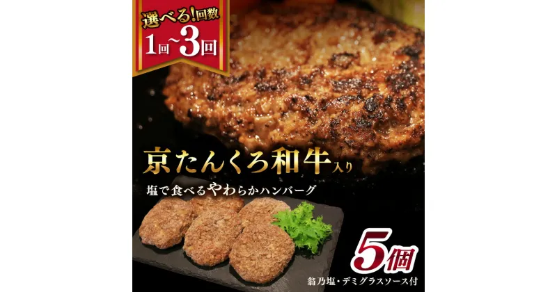 【ふるさと納税】塩で食べるやわらかハンバーグ（デミグラスソース付）1回 3回 選べる 隔月 回数 定期便 国産 はんばーぐ 牛肉 ふるさと納税 ハンバーグ 小分け ふるさと納税 ハンバーグ 冷凍 簡単調理 人気 送料無料