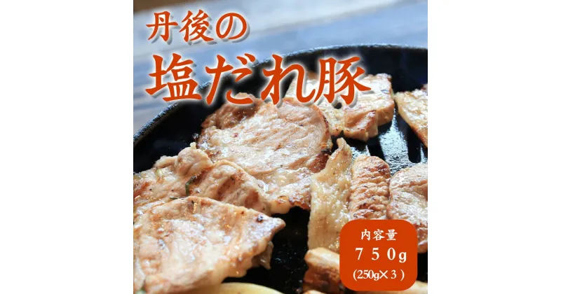 【ふるさと納税】トン’sキッチン 丹後の塩だれ豚焼き肉 750g （250g×3袋）　味付け 味付き肉 国産 豚肉 ぶたにく 焼肉 やきにく ヤキニク 小分け 個包装 冷凍 京都産 送料無料