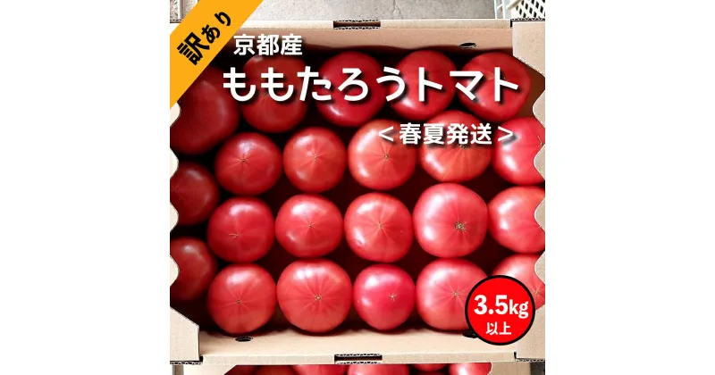 【ふるさと納税】高糖度　ももたろうトマト（春夏発送）　訳あり　3.5キロ以上　不揃い 3.5キロ以上　お野菜 野菜 トマト ミニトマト 3.5きろ 高糖度 濃厚 甘い 美味しい 完熟 とまと 不揃い ふぞろい 規格外 きかくがい 生産者応援 農家応援 送料無料