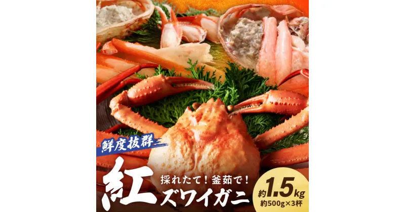 【ふるさと納税】採れたて！釜茹で！ 紅ズワイガニ 3杯 500g かに カニ鍋 焼きガニ ずわいがに ズワイガニ 肩 蟹 紅ずわいがに ベニズワイガニ 海鮮 カニ鍋 国産 日本海 期間限定 冷蔵 お取り寄せ 高級 香住 蟹味噌 かに味噌 おすすめ 旬 ふるさと納税 京丹後市 先行予約