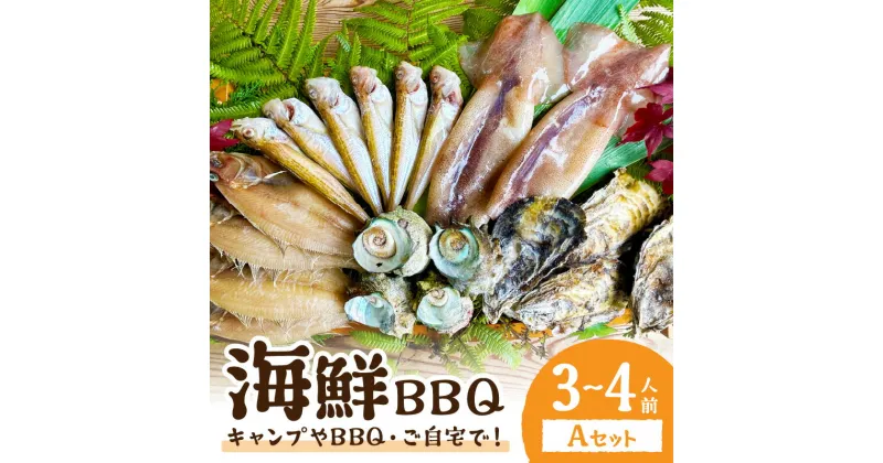 【ふるさと納税】大満足！京丹後・海鮮BBQ Aセット 5種20品（3～4人前） 魚介類 さざえ 蠑螺 カキ かき いか バーベキュー ばーべきゅー きゃんぷ アウトドア あうとどあ 個包装 冷凍 送料無料