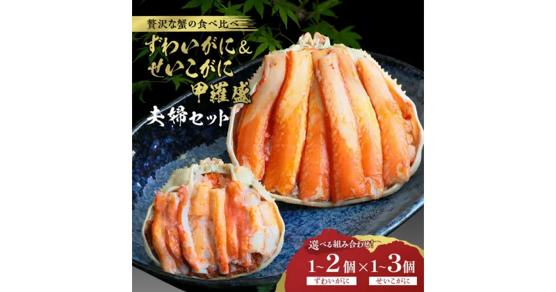 【ふるさと納税】☆蟹の宝石箱☆【贅沢なカニの食べ比べ】ずわいがに＆せいこがに甲羅盛 夫婦セット 選べる 個数 絶品 かに ズワイガニ ずわい蟹 ズワイ蟹 せいこ蟹 セイコガニ セイコ蟹 せこがに セコガニ せこ蟹 蟹味噌 かにみそ カニ味噌 剥き身 むき身