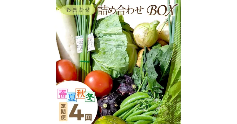 【ふるさと納税】【訳あり／定期便 四季4回】高評価 高レビュー★ 「京都・京丹後産 季節の野菜」お任せ詰め合わせBOX（5品） 定期便 4回 食べ方・レシピ付き　京野菜 季節 の 野菜 新鮮 ＜ふるさと納税 野菜・きのこランキング入り＞ 夏野菜 直売所直送 お取り寄せ