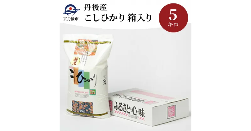 【ふるさと納税】丹後産こしひかり5kg箱入り／令和6年産 お米 米 こしひかり 丹後産 5キロ 箱入り ふるさと納税 米 白米 精米 穀物 ふるさと納税 コシヒカリ 精米 京都産 送料無料 生産者応援 農家応援 送料無料