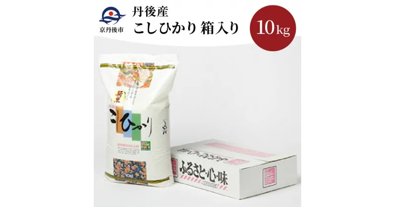 【ふるさと納税】丹後産こしひかり10kg箱入り／令和6年産 精米 10kg 穀物 こめ ふるさと納税 コシヒカリ 精米 ふるさと納税 米 精米 京都産 送料無料 生産者応援 農家応援