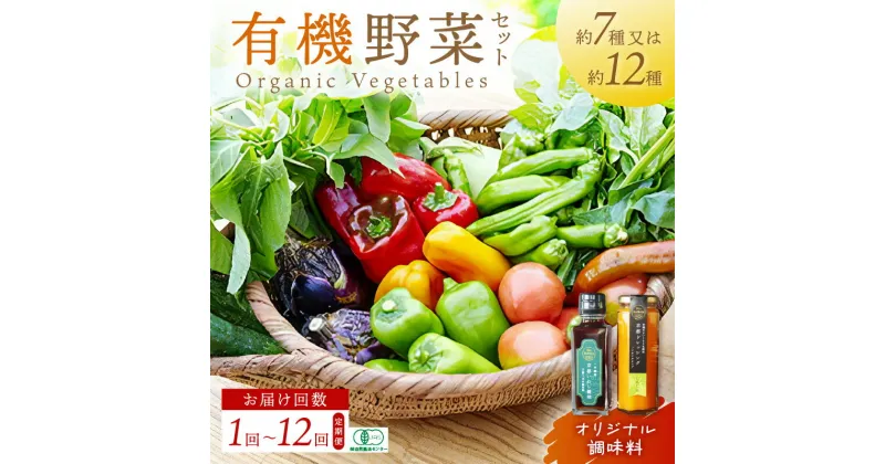 【ふるさと納税】有機JAS認証 ＜てんとうむしばたけ＞オーガニック野菜セット 有機野菜 7種 2人用 12種 4人用 定期便 調味料 ドレッシング 選べる 農家直送 京都直送 野菜 詰め合わせ 野菜セット 国産 京都産 ふるさと納税 野菜