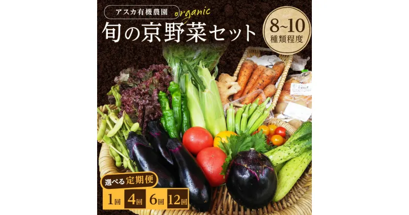 【ふるさと納税】京の旬野菜セットS（栽培期間中農薬・化学肥料不使用）＜アスカ有機農園＞ 1回 4回 6回 12回 定期便 回数 選べる 野菜 京野菜 旬野菜 旬 セット 詰め合わせ 京都府 京丹後市 ふるさと納税 野菜 生産者応援 農家応援 送料無料