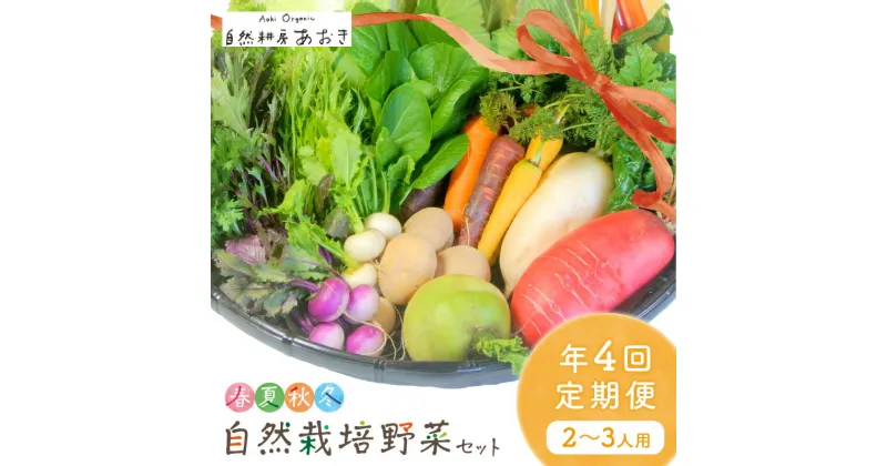 【ふるさと納税】【年4回定期便】春夏秋冬 自然栽培野菜セット (年4回) 2～3人用　ふるさと納税 野菜 自然栽培 季節 定期便 旬野菜 定期便 4回 旬野菜 詰め合わせ 百貨店 ホテル 栽培期間中 農薬 化学肥料 不使用 京都 産地直送 野菜セット おまかせ おすすめ 美味しい